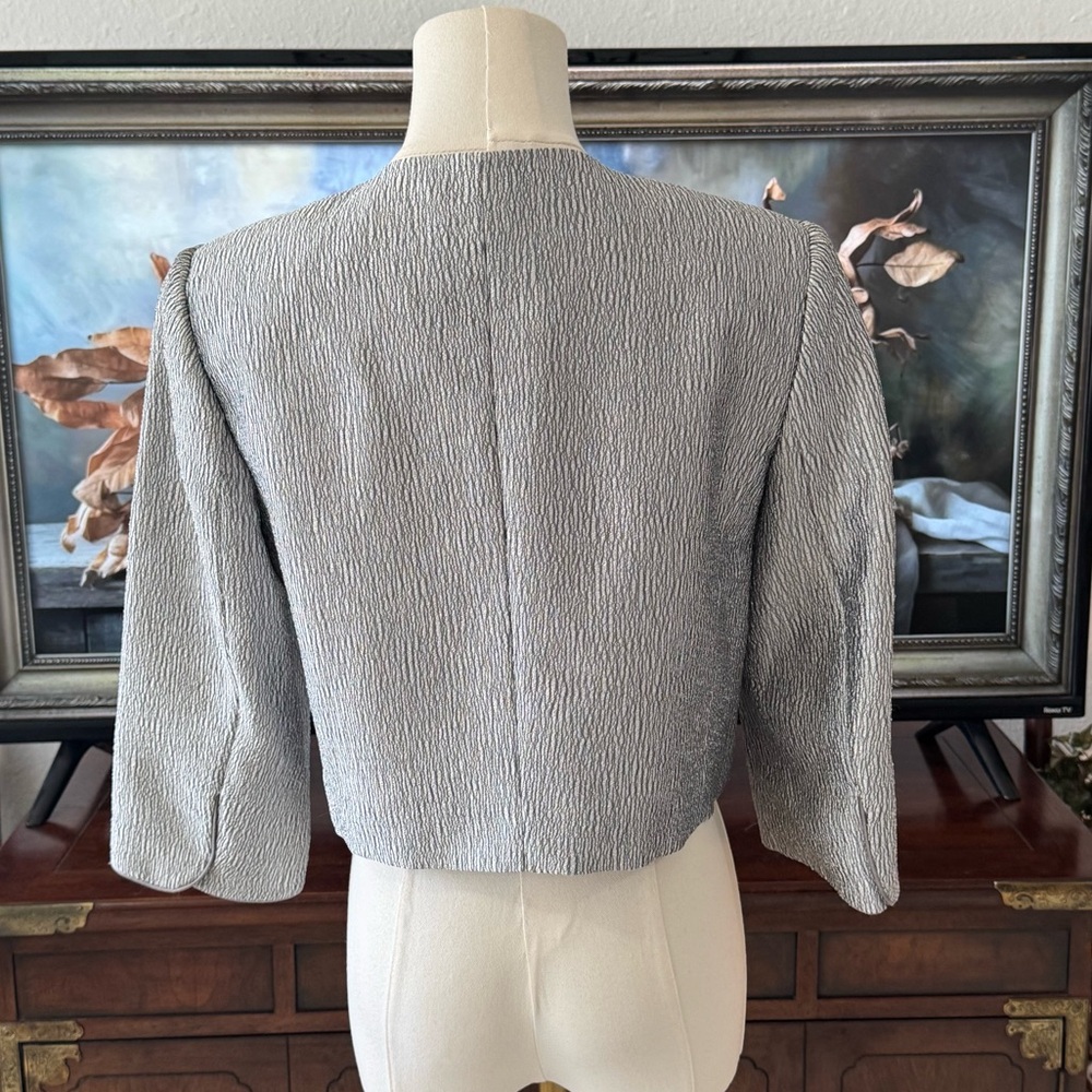 Adrianna Papell Occasions Cropped Blazer Jacket Silver Grey Sz 6 Excellent Cond - Picture 3 of 9